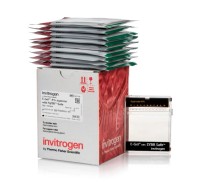 Гель агарозный готовый E-Gel Agarose Gels with SYBR Safe DNA Gel Stain, 4%, 10 шт./уп., Thermo FS