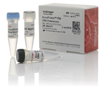 ДНК-полимераза AccuPrime Pfx DNA Polymerase, Thermo FS