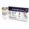 Эндонуклеаза рестрикции BseMI (BsrDI), 5 е.а./мкл, Fermentas, Thermo FS