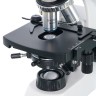 Микроскоп Levenhuk 400B, бинокулярный