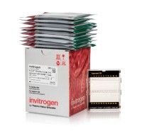 Гель агарозный готовый E-Gel Double Comb Agarose Gels with SYBR Safe DNA Gel Stain, 2%, 10 шт./уп., Thermo FS