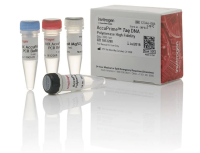 ДНК-полимераза AccuPrime Taq DNA Polymerase, high fidelity, Thermo FS