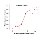 Фактор роста гепатоцитов человека, рекомбинантный белок, rhHGF 728AA, Россия