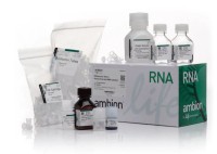 Набор RNAqueous-Micro Total RNA Isolation Kit, Thermo FS
