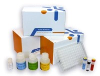 Панель для профилирования ми-РНК, Multiplex miRNA Assay Oncology Panel - Circulating, Abcam