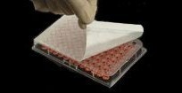 Пленка для ПЦР планшетов, клейкая, нестерильная, газонепроницаемая, Breathable, 100 шт./уп., Corning