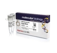 Эндонуклеаза рестрикции BseXI (BbvI), 3 e.a./мкл, Fermentas, Thermo FS