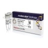 Эндонуклеаза рестрикции BseXI (BbvI), 3 e.a./мкл, Fermentas, Thermo FS
