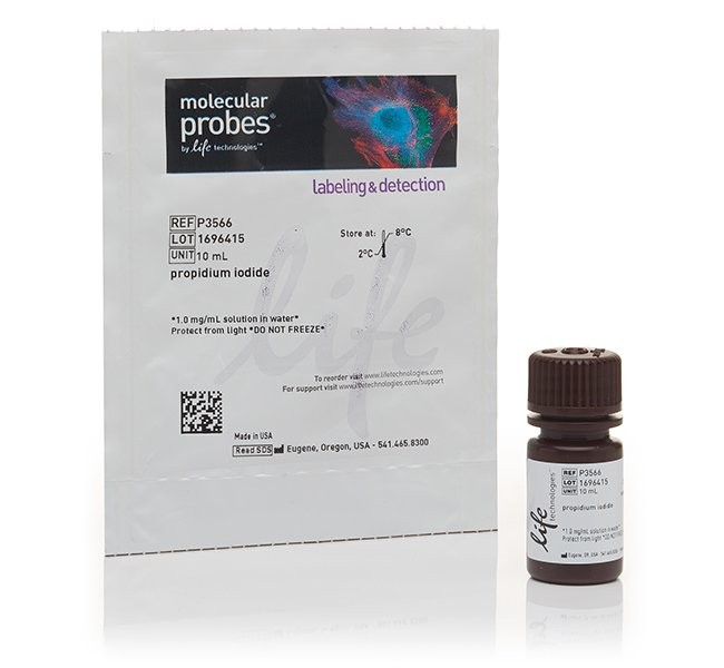 Пропидий йодид, 1 мг/мл, раствор в воде, Thermo FS