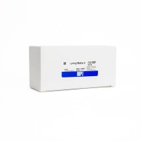 Пробирки 2 мл Lysing Matrix K, шарики силиката циркония d 0,8 мм, MP Biomedicals