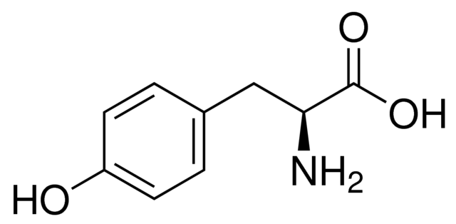 Тирозин-L, ≥99%, MP Biomedicals