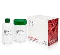 Средство для деконтаминации от РНКазы RNaseZap, салфетки, Thermo FS