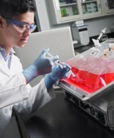 Мешок для культивирования клеток в шейкерах, 20 л, EVA/LDPE, Corning