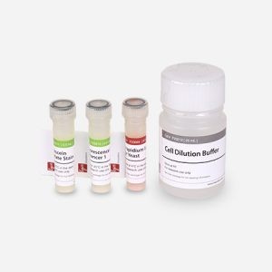 Набор для определения жизнеспособности дрожжей, Logos Biosystems