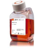 Среда MCDB-131 низкое содержание глюкозы, без глутамина, с пируватом, с феноловым красным, без ХЕПЕС, Thermo FS