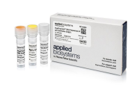 ДНК-полимераза AmpliTaq Gold DNA Polymerase LD (Low DNA) with Gold Buffer and MgCl2, Thermo FS