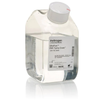 Буфер TAE (Трис-ацетат-ЭДТА), DNA Typing Grade, 50Х, UltraPure, Thermo FS