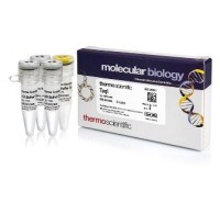 Эндонуклеаза рестрикции TaqI, 10 е.а./мкл, Fermentas, Thermo FS