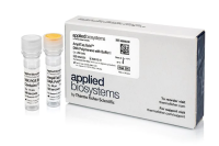 ДНК-полимераза AmpliTaq Gold DNA Polymerase с буферным раствором I, Thermo FS