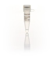 Ингибитор РНКаз Ribolock, 40 ед/мкл, Thermo FS (аналоги арт. 3784.2000, арт. 3784.10000, Диаэм)