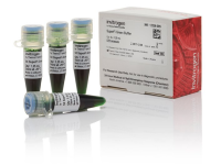 Буфер SuperFi Green, Thermo FS