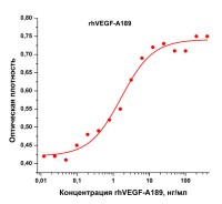 Фактор роста эндотелия сосудов-А человека, изоформа 189, рекомбинантный белок, rhVEGF-A189, Россия