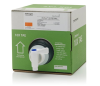 Буфер TAE (Трис-ацетат-ЭДТА), UltraPure, 10Х, Thermo FS