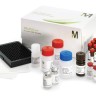 Набор для исследования цитокинов и хемокинов крысы, Millipore, Merck (Millipore, Sigma-Aldrich, Supelco)
