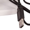 Микроскоп цифровой Levenhuk DTX 300 LCD