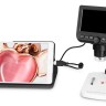 Микроскоп цифровой Levenhuk DTX 300 LCD
