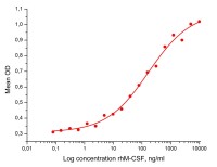 Фактор человека макрофагальный колониестимулирующий, рекомбинантный белок, rhM-CSF, Россия