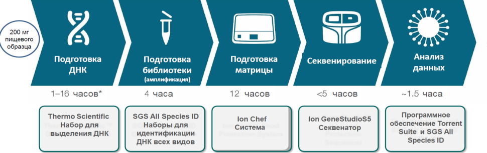 Секвенатор ДНК 2-го поколения, полупроводниковый, Ion GeneStudio S5 для автоматизированной видовой проверки подлинности пищевых образцов, Thermo FS