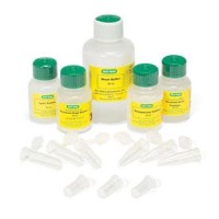 Набор Quantum Prep Plasmid Midiprep, Bio-Rad