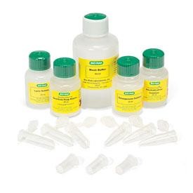 Набор Quantum Prep Plasmid Midiprep, Bio-Rad