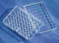 Планшеты культуральные 48-лун., плоскодонные, пов-ть CellBind, 5 шт./уп, 50 шт./кор, Corning