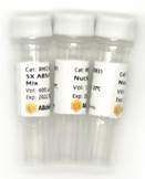 Мастер-микс для синтеза кДНК, оптимизированный для кПЦР, ABScript III RT for qPCR (5х), ABclonal