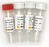 Мастер-микс для синтеза кДНК, с реактивом для удаления геномной ДНК, ABScript III RT for qPCR with gDNA Remover (5х), ABclonal