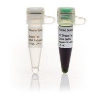 ДНК-полимераза DreamTaq Green, термостабильная, 5 ед/мкл, Thermo FS
