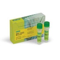 Набор реагентов, 2х супермикс для EvaGreen, 200 реакций, Bio-Rad