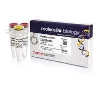 Эндонуклеаза рестрикции XagI (EcoNI), 10 е.а./мкл, Fermentas, Thermo FS