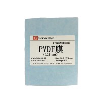 Мембраны ПВДФ, 0,22 мкм, 70×90 мм, 10 шт./уп., Servicebio, Китай