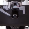 Микроскоп цифровой Levenhuk MD600T, с фазовым контрастом