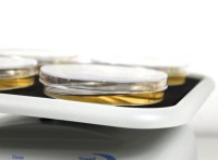 Мини-шейкер, качающий, угол наклона 7°, до 30 об/мин, MR-1, Biosan