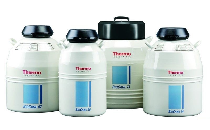 Криохранилище 20,5 л, 150 образцов, d горла 51 мм, Bio-Cane 20, Thermo FS