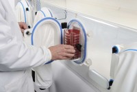 Анаэробная станция, 1400 чашек, до +45 °С, А95, Don Whitley Scientific