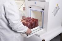 Анаэробная станция, 1400 чашек, до +45 °С, А95, Don Whitley Scientific