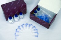 Набор для выделения ДНК из животных тканей, спин-колонки, diaGene, diaGene