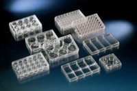 Планшеты культуральные 4-лун., поверхность Nunclon Delta, 120 шт./уп., Thermo FS