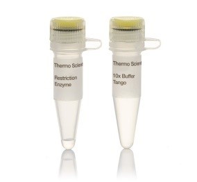 Эндонуклеаза рестрикции Cfr13I (Sau96I), 10 е.а./мкл, Fermentas, Thermo FS