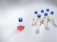 Колба Эрленмейера 250 мл, ПЭТГ, вентилируемая крышка, стерильная, 12 шт./уп., Thermo FS